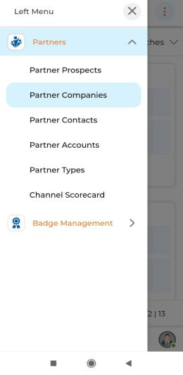 Partner Companies sub-menu selected and View Partner Companies list showing Company Name and Website