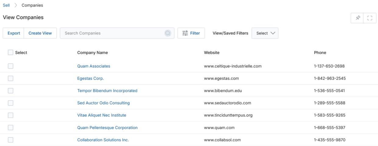 View Companies list — Company Name, Website, and Phone columns