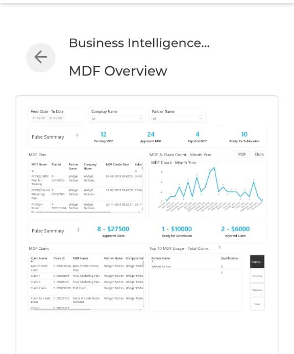 Portal Usage Business Intelligence Report showing detailed table of partner portal activity with first login date, last login date, and group name columns