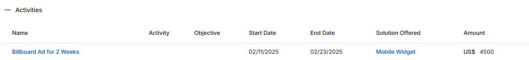 Activities related list showing Name, Activity, Objective, Start Date, End Date, Solution Offered, and Amount columns