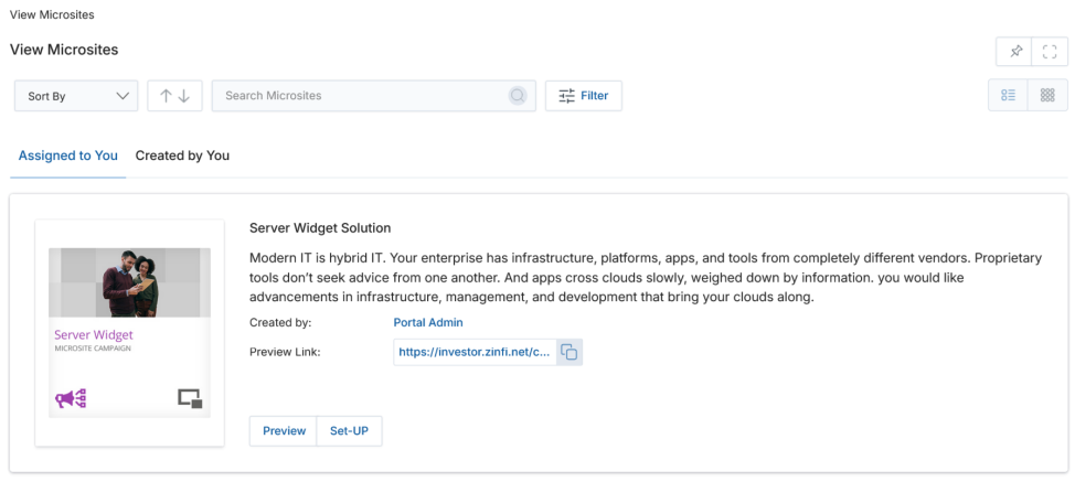 View Microsites page showing a Server Widget Solution entry with Preview and Set-UP buttons visible
