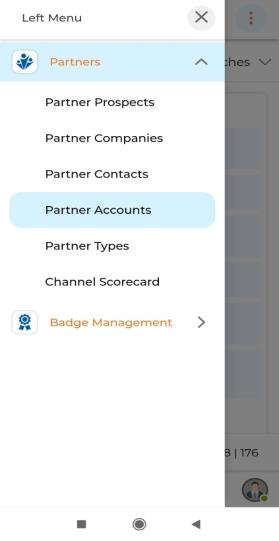 Partner Accounts sub-menu and View Partner Accounts list showing Account Name, Partner ID, Website, Main Phone, Assigned To, Account Status columns