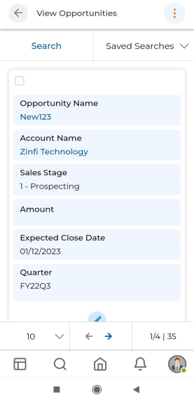 View Opportunity detail showing Opportunity Name, Account Name, Contact Name, Sales Stage, Amount, Discounted Price, Currency ISOCode, Lead Source