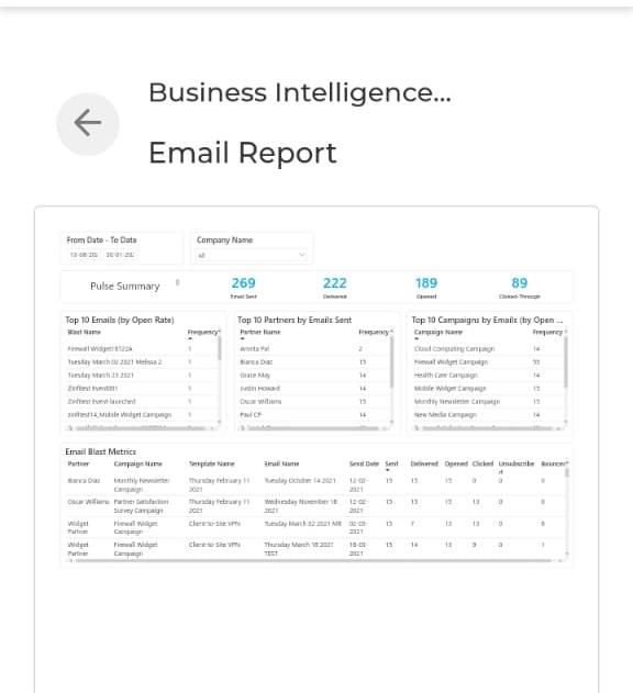 Email Business Intelligence Report showing 269 emails sent, 222 delivered, 189 opened, 89 clicked, with top 10 rankings by various metrics