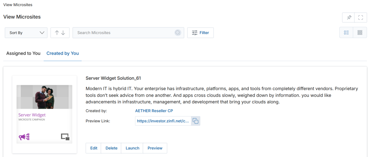 View Microsites page showing a Server Widget Solution_61 entry under Created by You tab with Edit, Delete, Launch, and Preview buttons