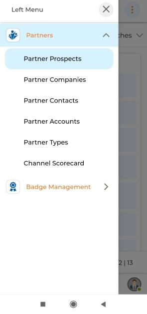 Partner Prospects sub-menu and View Partner Prospects list showing Company Name, Name, Title, Phone, Email, Score, Email Verification