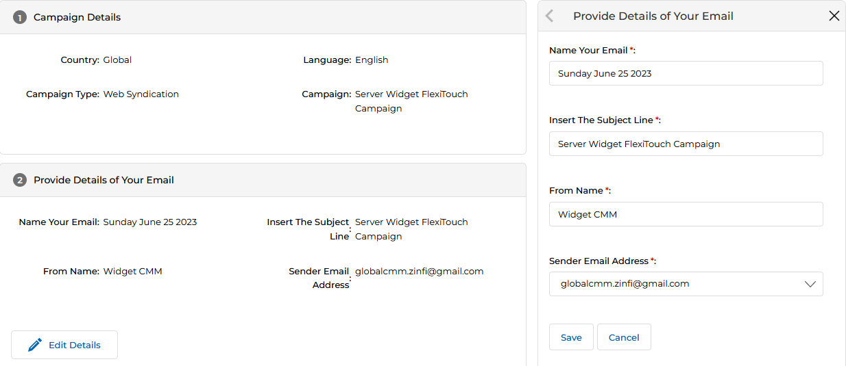 Provide Details of Your Email section with panel open on the right showing Name Your Email, Insert The Subject Line, From Name, and Sender Email Address fields with Save and Cancel buttons