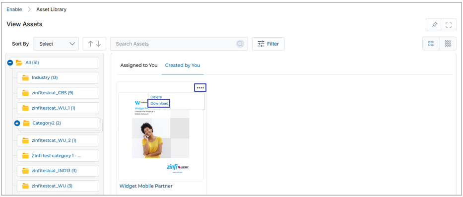 Card view showing four-dot menu expanded with Delete and Download options on a Widget Mobile Partner asset card
