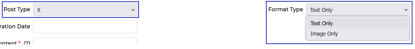 Post Type set to X showing Format Type dropdown with Text Only and Image Only options