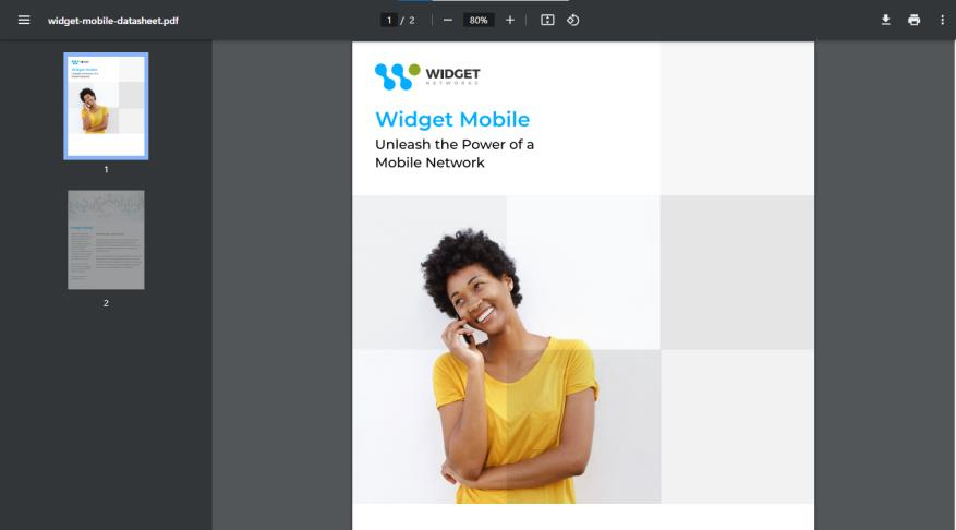 Downloaded co-branded PDF opened in a browser showing the Widget Mobile brochure with logo