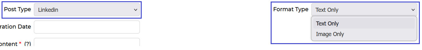 Post Type set to LinkedIn showing Format Type dropdown with Text Only and Image Only options