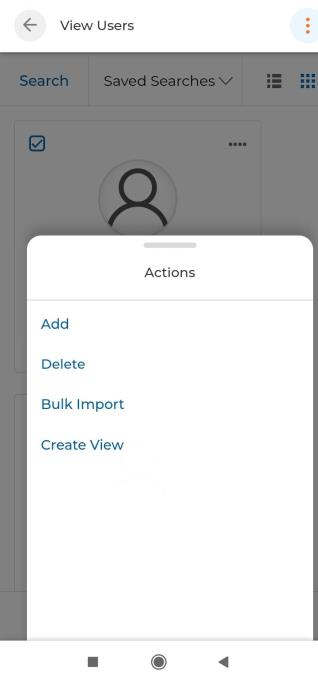 View Users actions menu showing Add, Delete, Bulk Import, Create View options