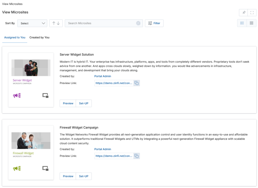 View Microsites page showing list view with two microsites — Server Widget Solution and Firewall Widget Campaign — each with Preview and Set-UP buttons